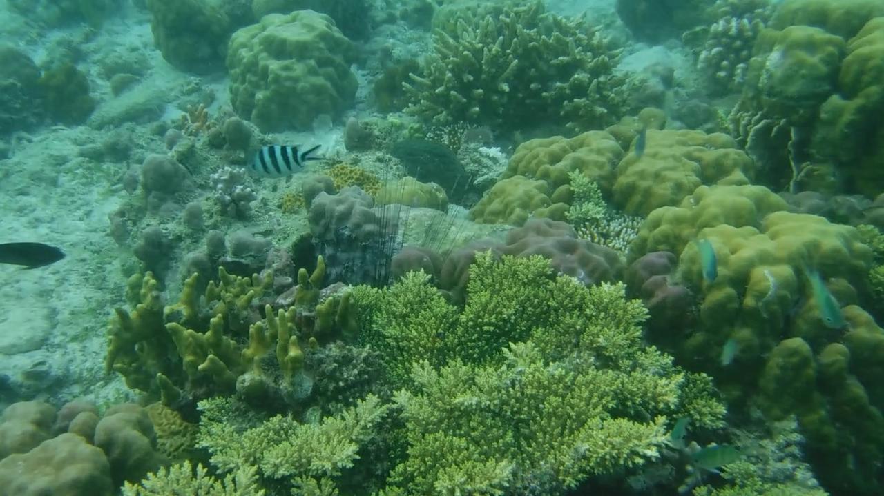 Iris Island Eco Resort Бусуанга Экстерьер фото